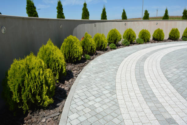 Best Driveway Pavers Near Me  in Oblong, IL